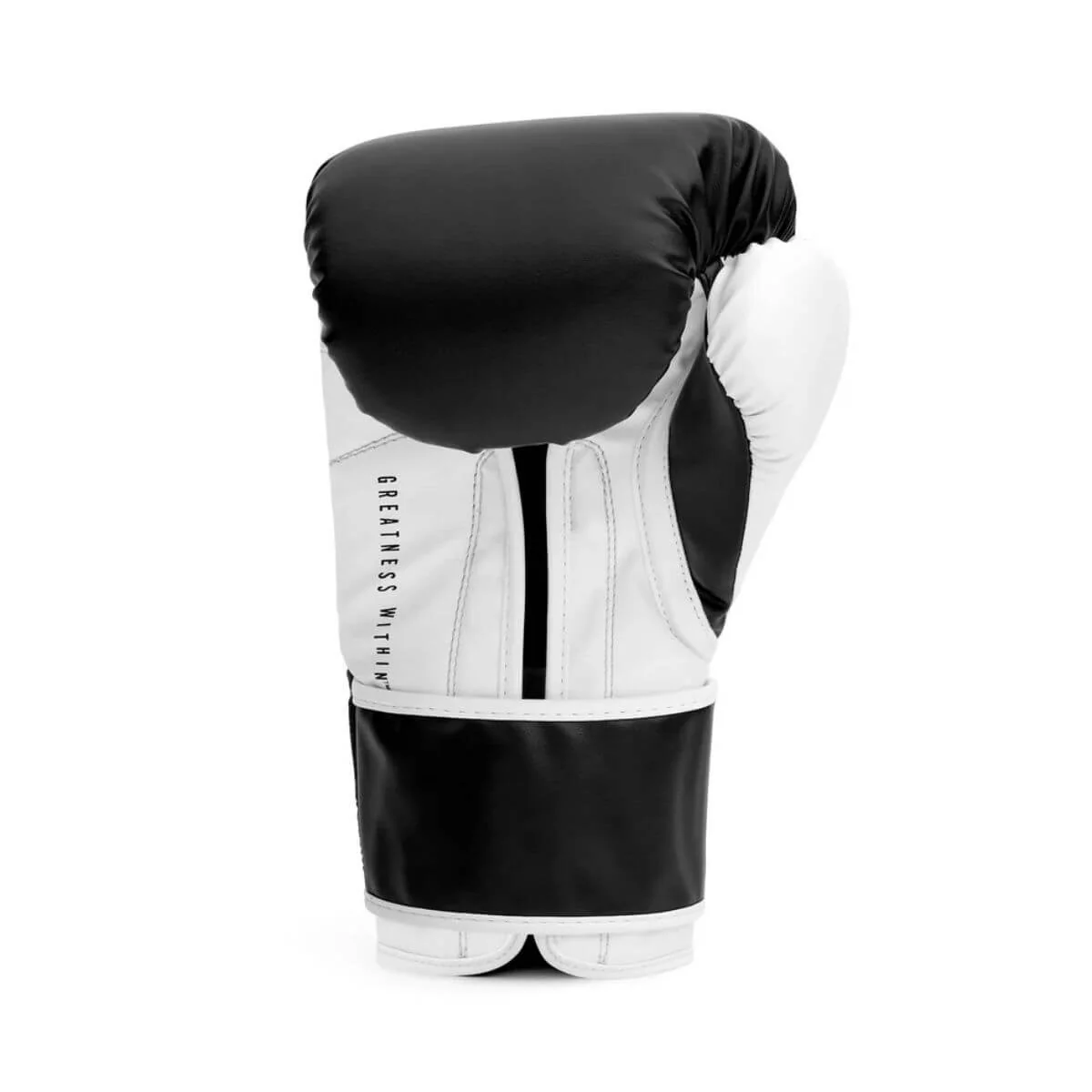Everlast Powerlock OG Boxing Gloves Hook & Loop - Image 7