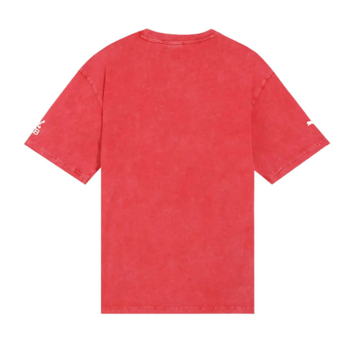 PUMA x RCB Mens Vintage Tee - Image 6